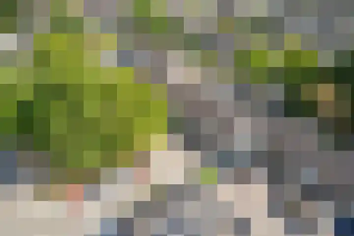 Rietmees 88 Emmen thumbnail 47