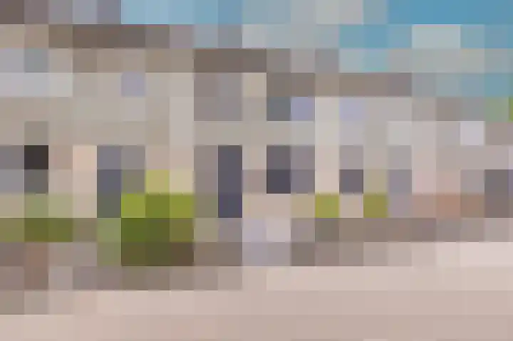Rietmees 88 Emmen thumbnail 48