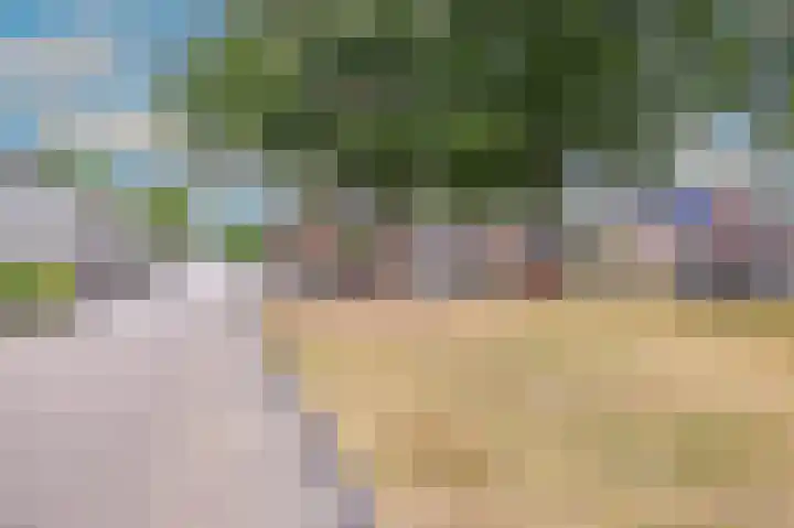 Rietmees 88 Emmen thumbnail 50