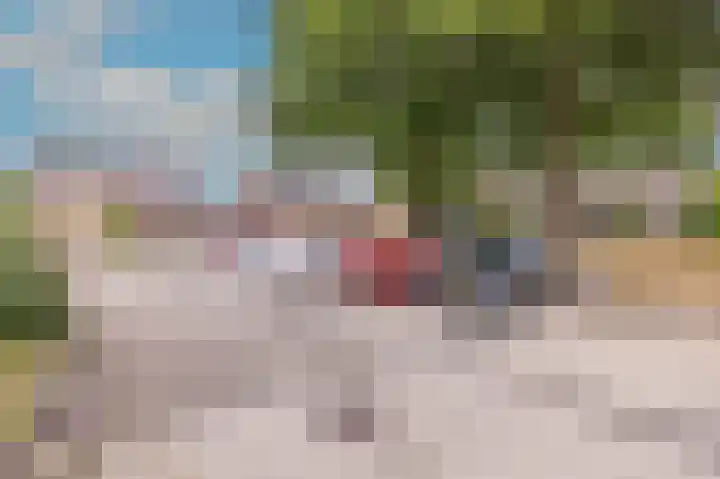 Rietmees 88 Emmen thumbnail 51