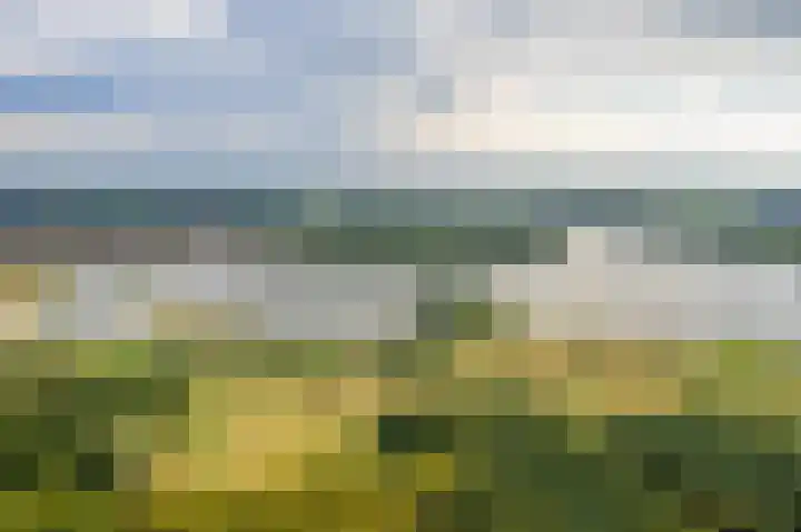 Rietmees 88 Emmen thumbnail 53