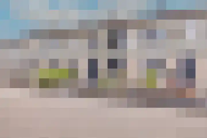 Rietmees 88 Emmen thumbnail 54