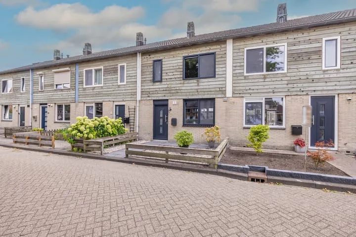 Rietmees 88 Emmen thumbnail 54