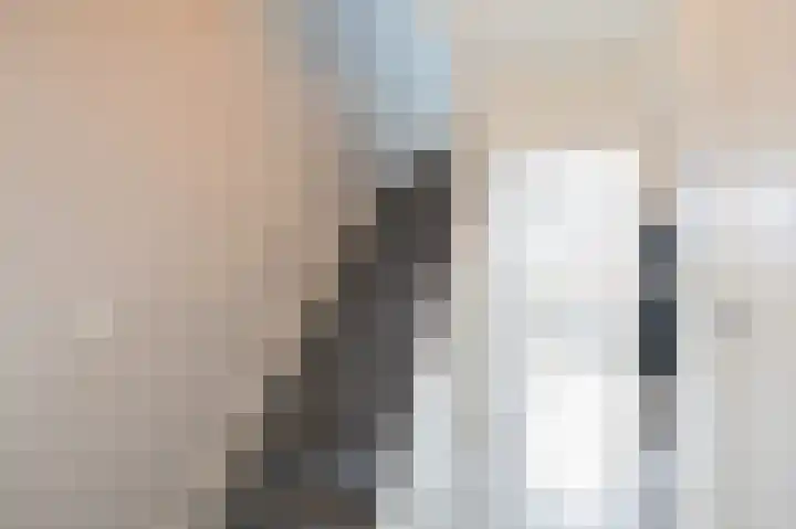 Rietmees 88 Emmen thumbnail 6