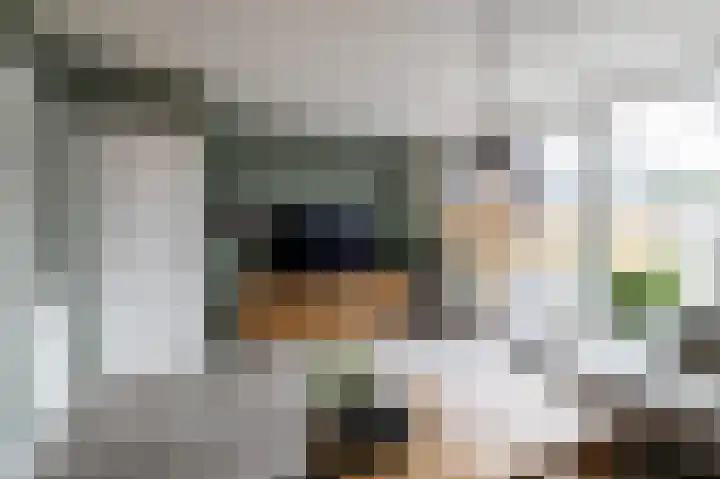 Rietmees 88 Emmen thumbnail 8
