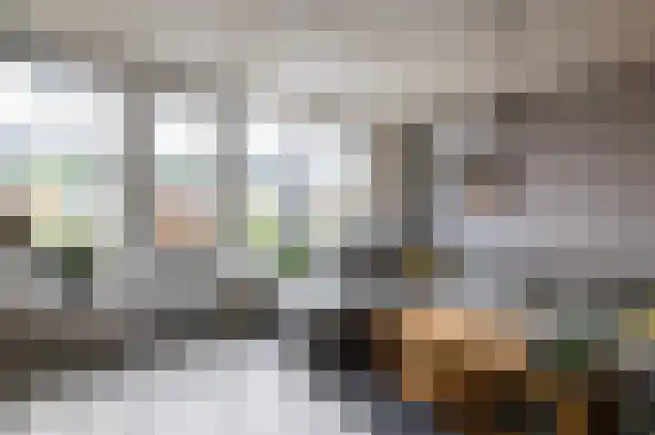Rietmees 88 Emmen thumbnail 9