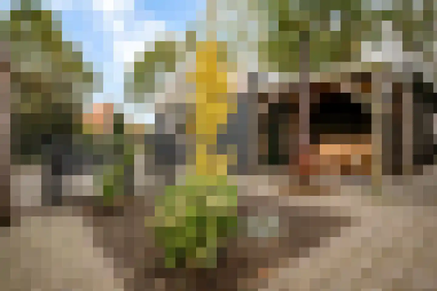 Rietmolenseweg 2 a Eibergen thumbnail 25
