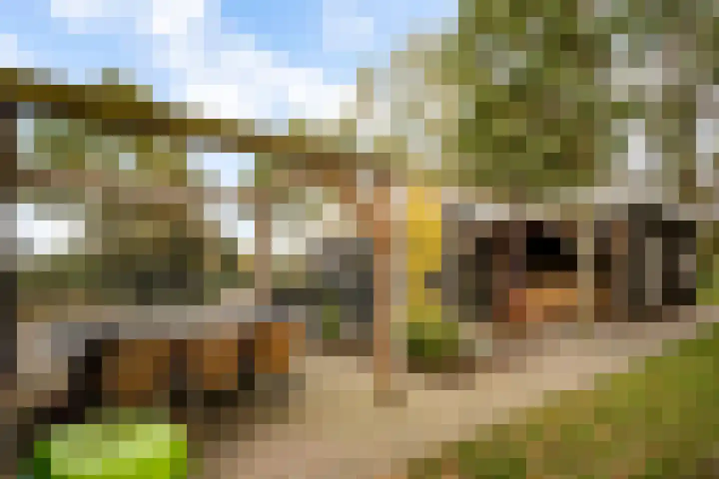 Rietmolenseweg 2 a Eibergen thumbnail 27
