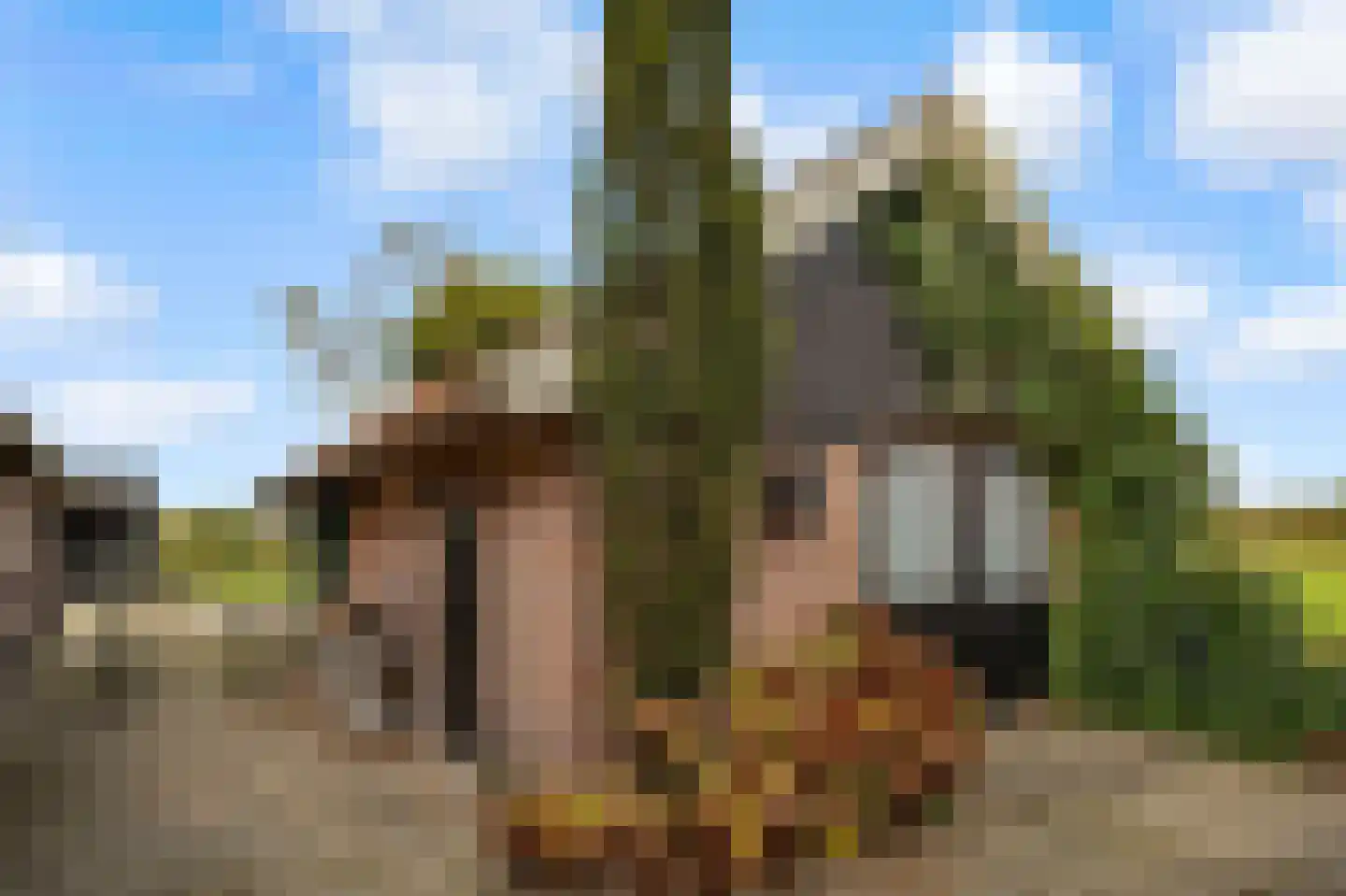 Rietmolenseweg 3 Eibergen thumbnail 57