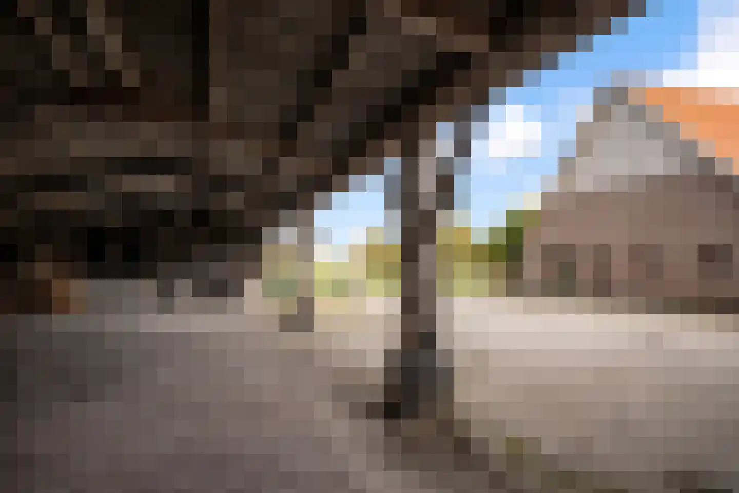 Rietmolenseweg 3 Eibergen thumbnail 64