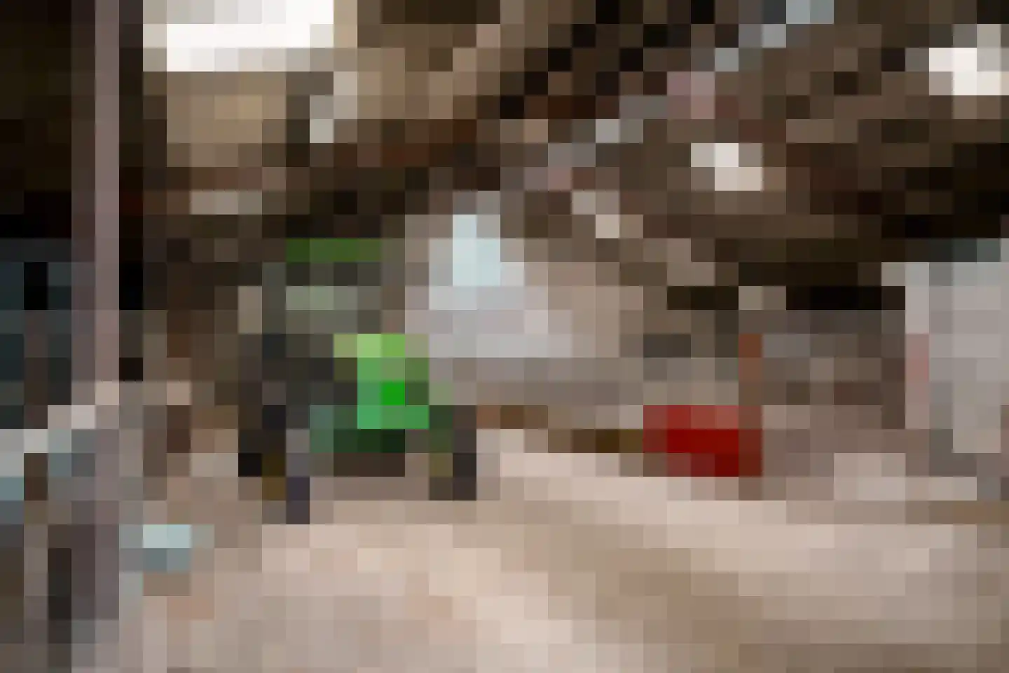 Rietmolenseweg 3 Eibergen thumbnail 65