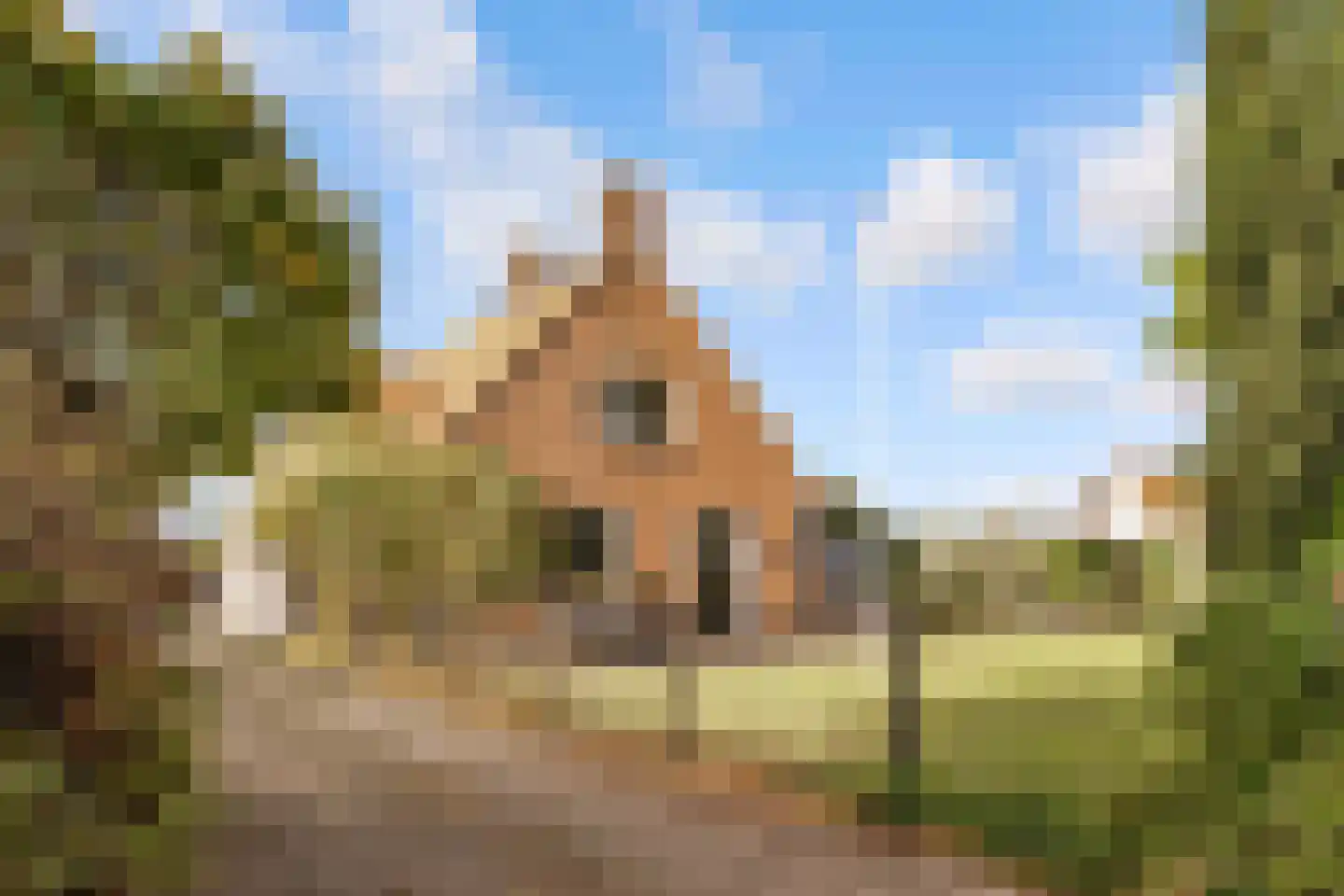 Rietmolenseweg 3 Eibergen thumbnail 70