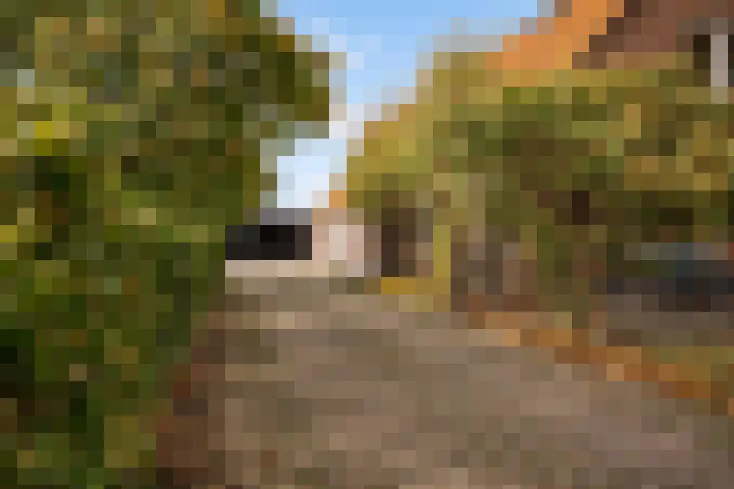 Rietmolenseweg 3 Eibergen thumbnail 72