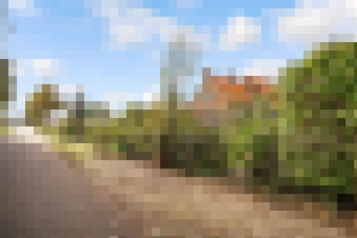 Rietmolenseweg 3 Eibergen thumbnail 73