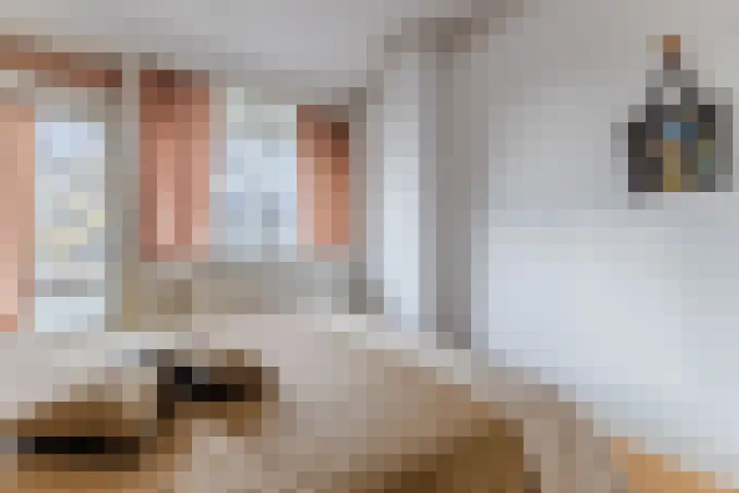Rietnesse 12 1 Amsterdam thumbnail 29