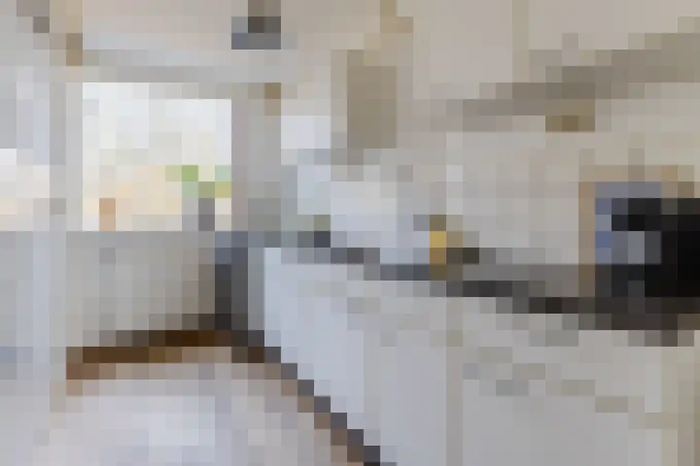 Rietnesse 12 1 Amsterdam thumbnail 4