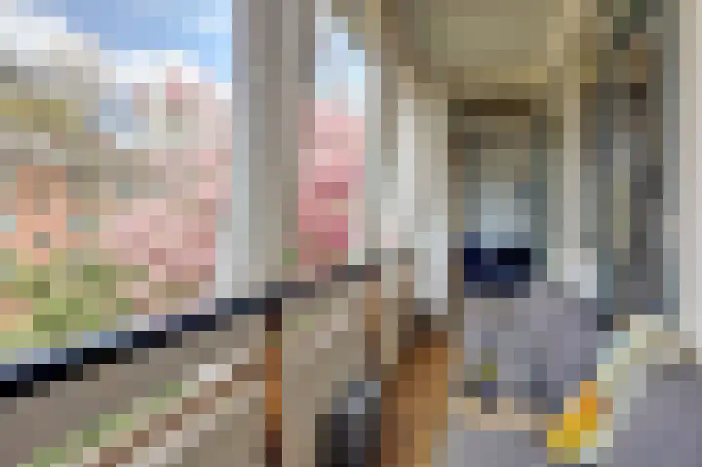 Rietnesse 12 H Amsterdam thumbnail 10