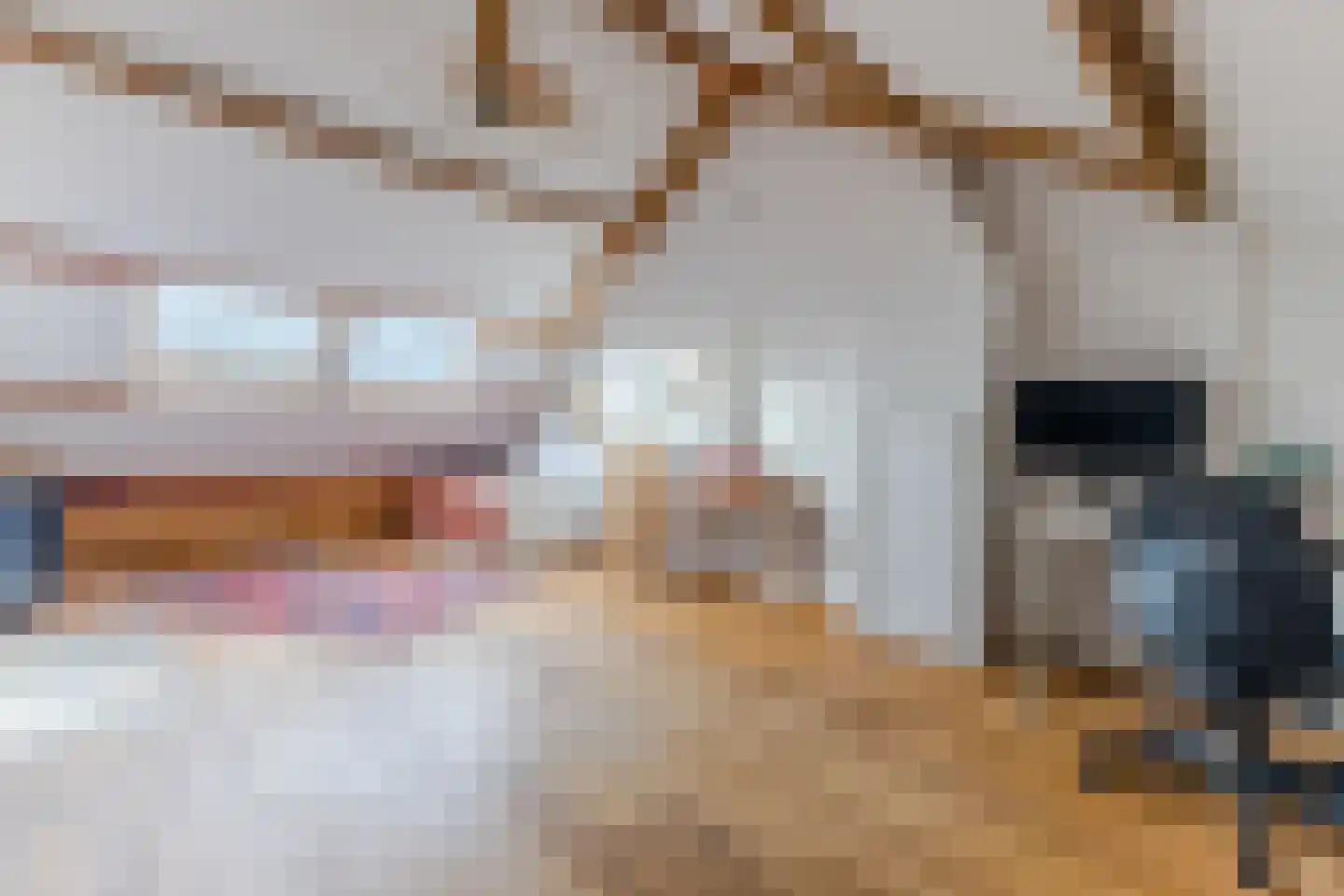 Rietnesse 12 H Amsterdam thumbnail 21