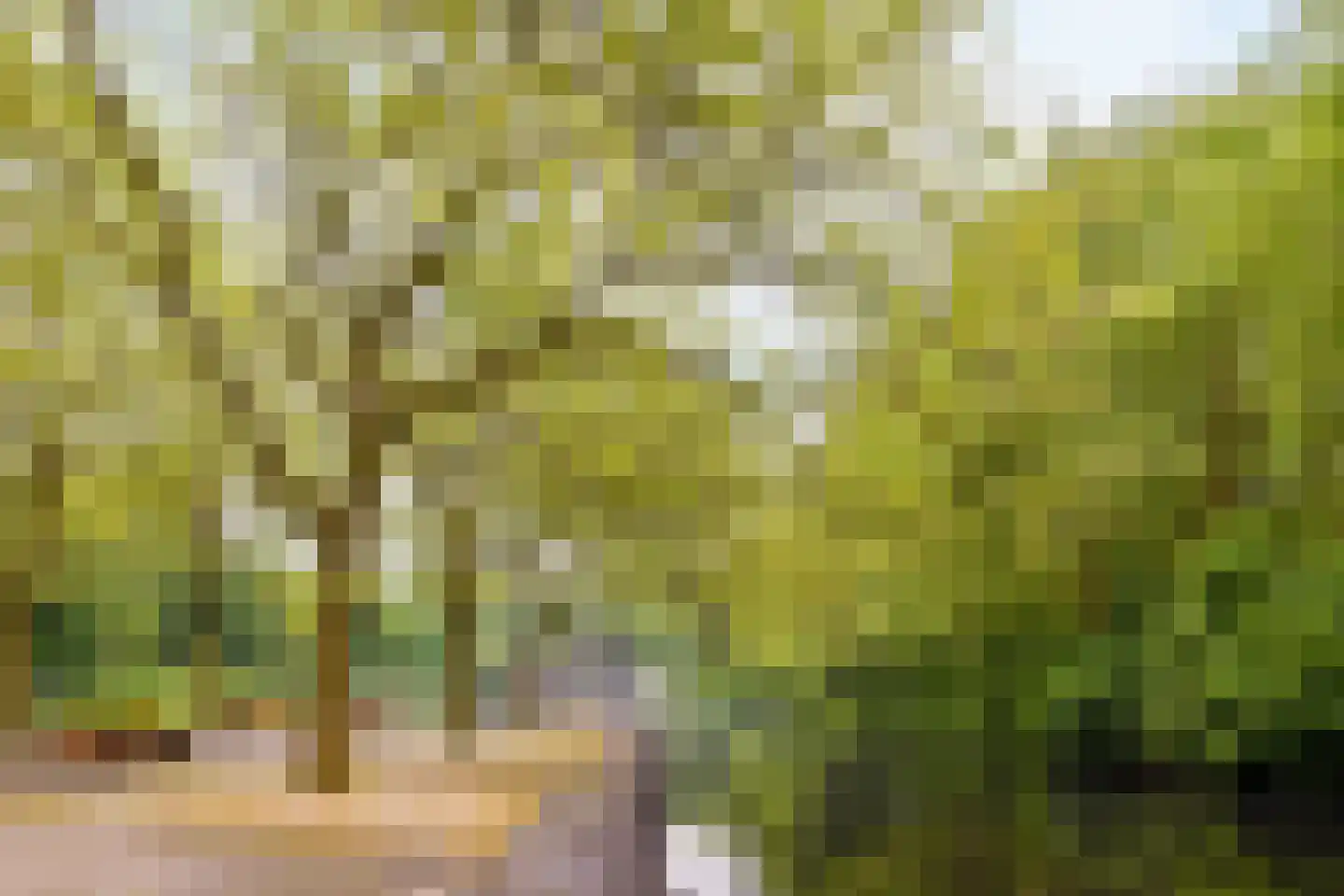 Rietnesse 12 H Amsterdam thumbnail 22