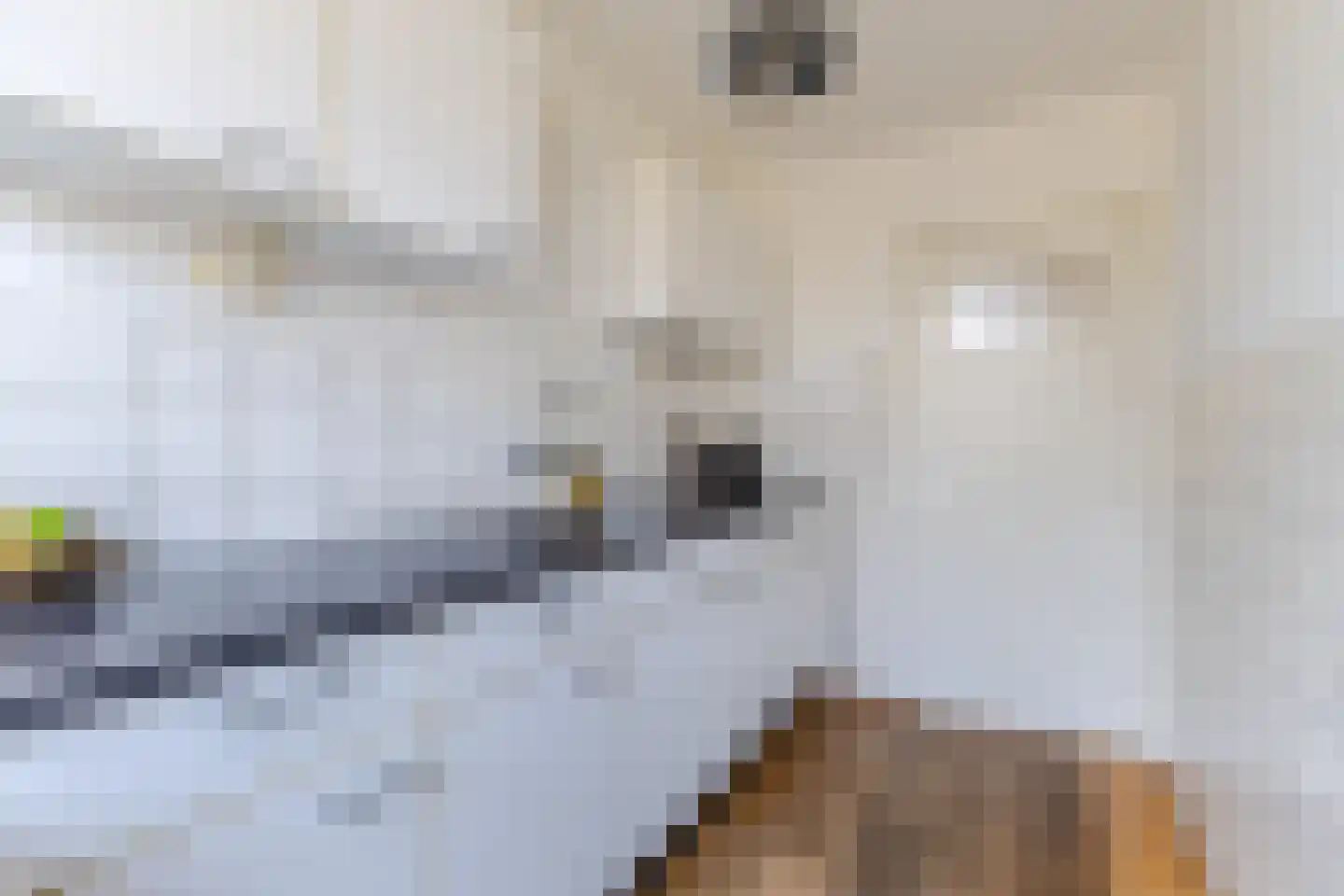 Rietnesse 12 H Amsterdam thumbnail 23