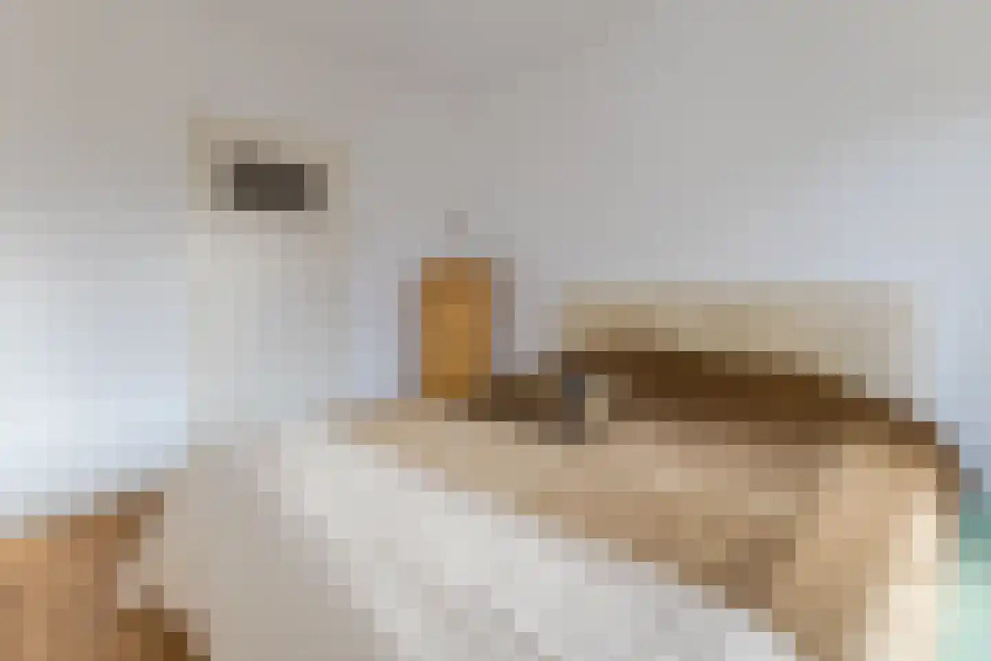 Rietnesse 12 H Amsterdam thumbnail 28