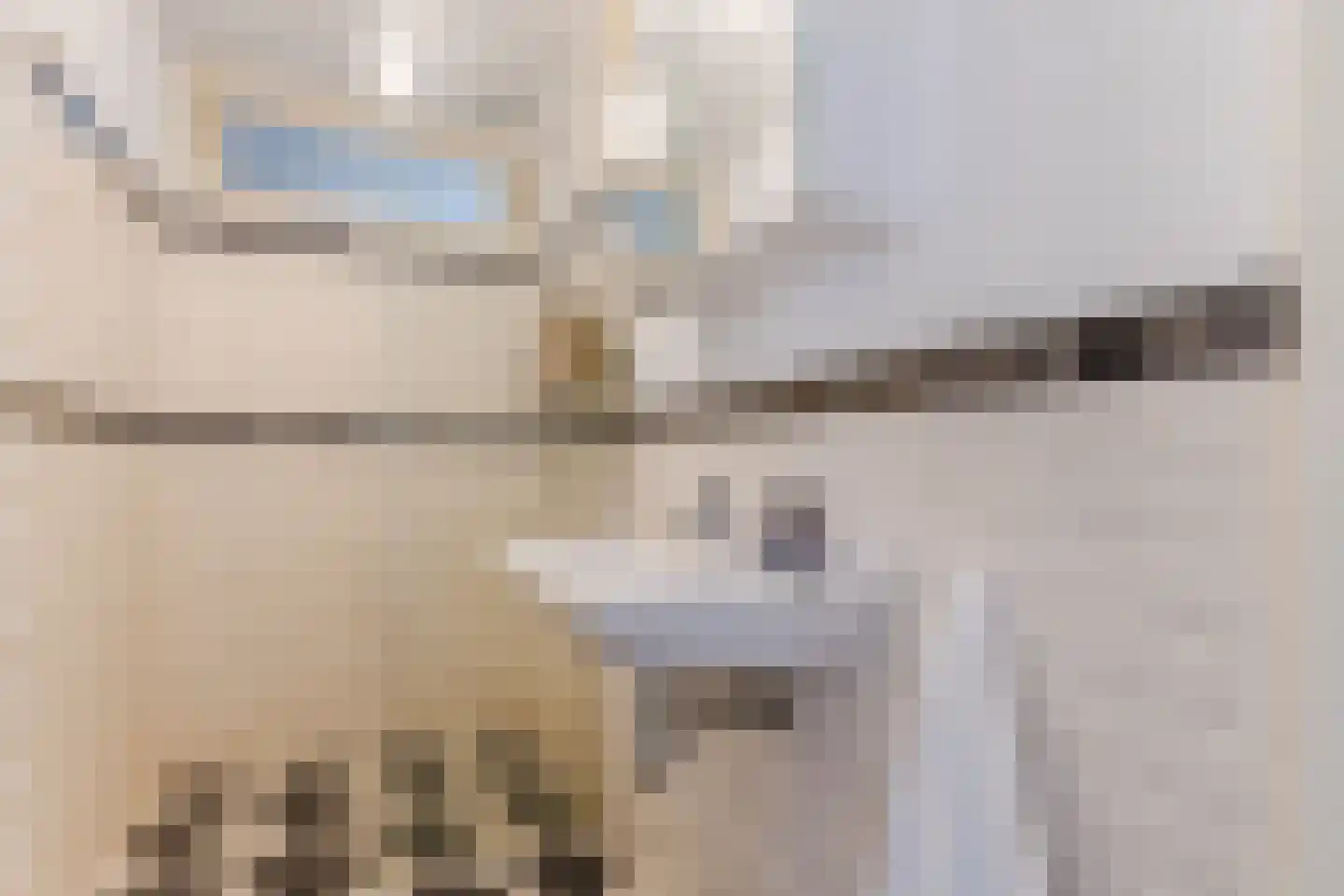 Rietnesse 12 H Amsterdam thumbnail 36