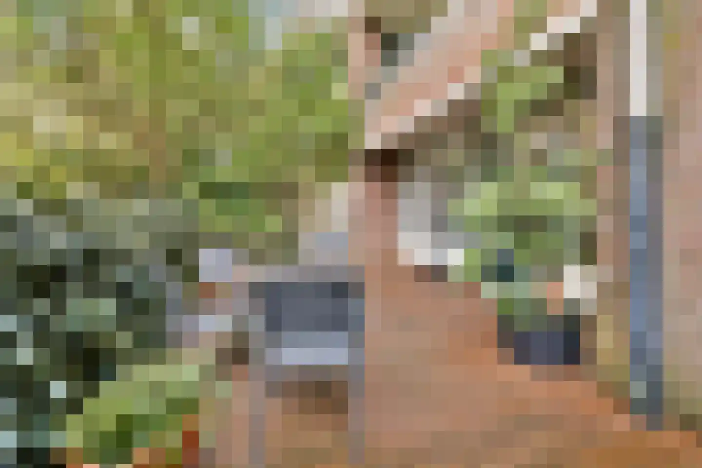 Rietnesse 12 H Amsterdam thumbnail 6