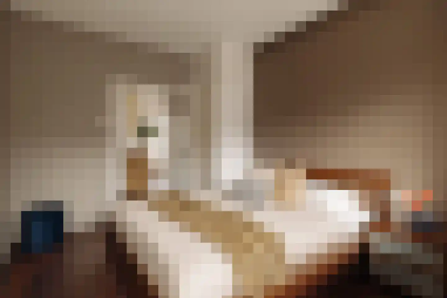 Rietnesse 3 3 Amsterdam thumbnail 15
