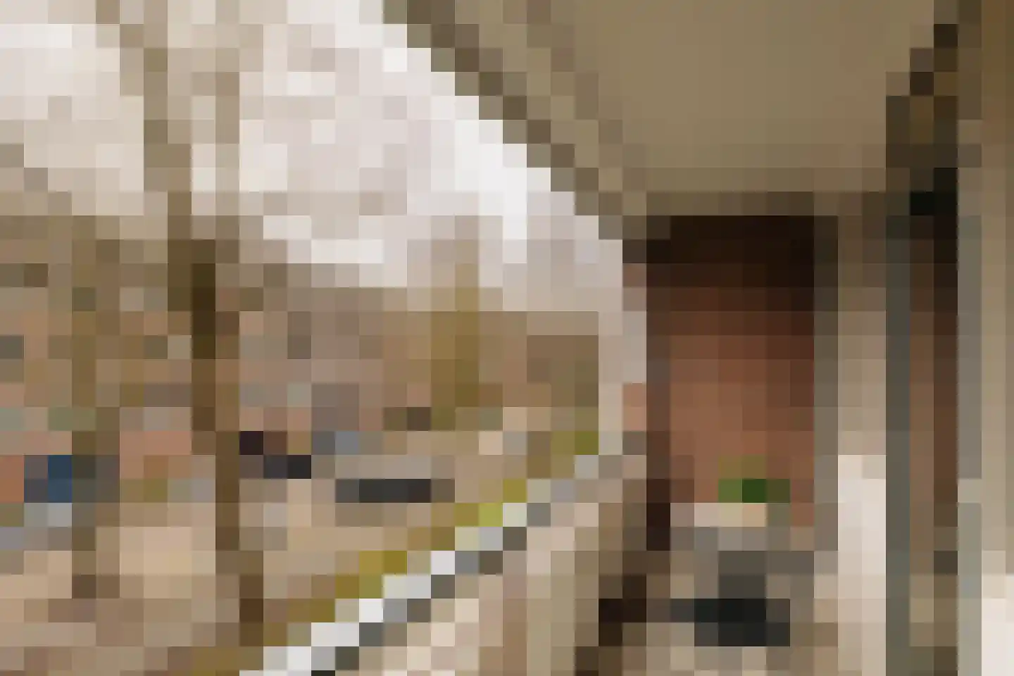 Rietnesse 3 3 Amsterdam thumbnail 19