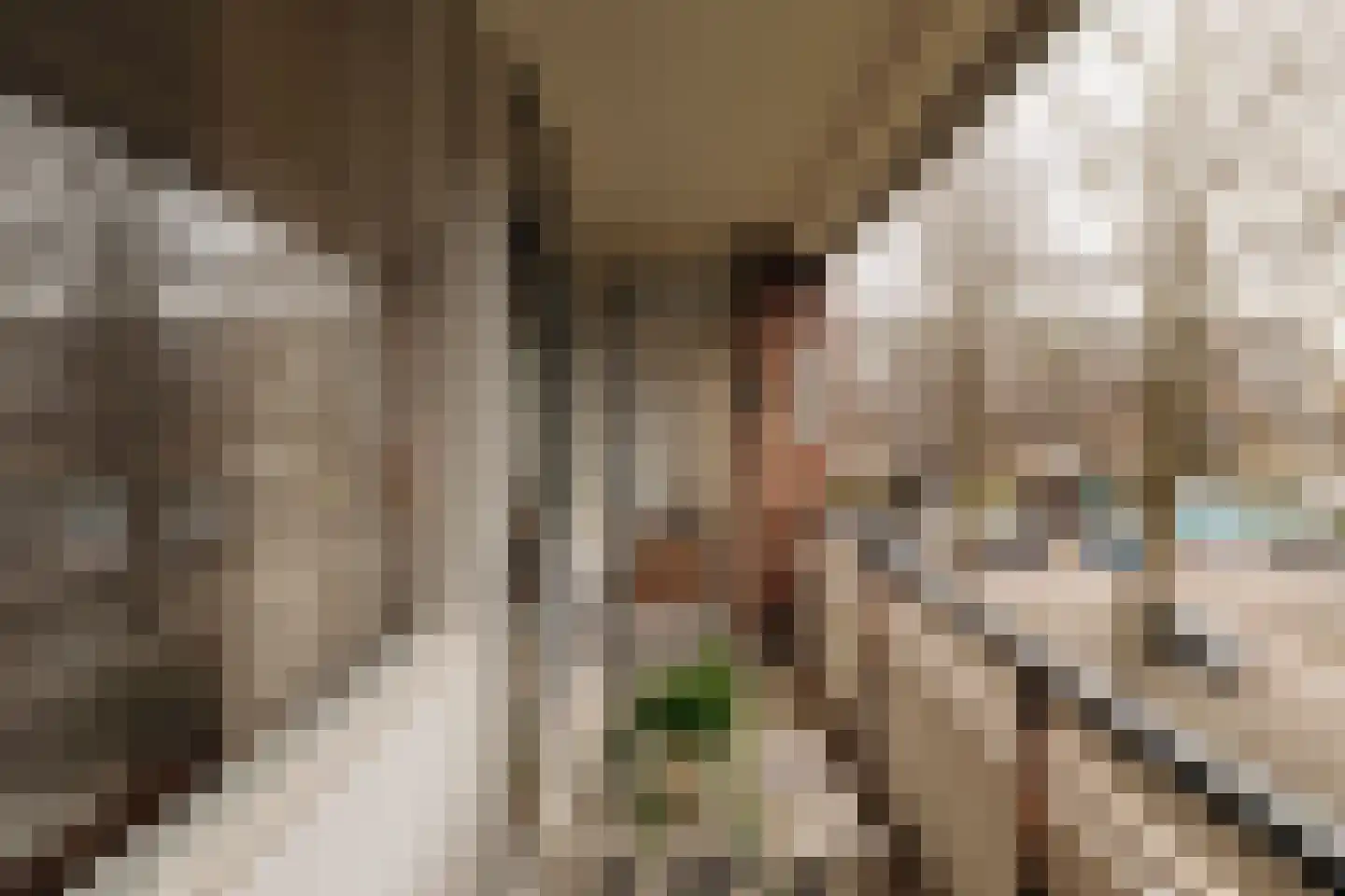 Rietnesse 3 3 Amsterdam thumbnail 21