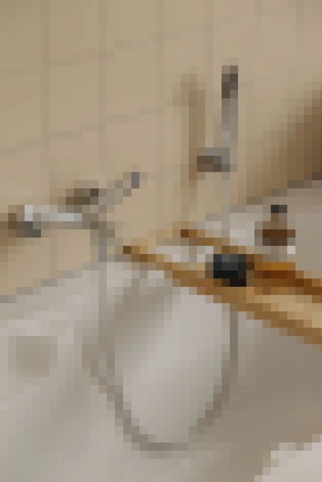 Rietnesse 3 3 Amsterdam thumbnail 24