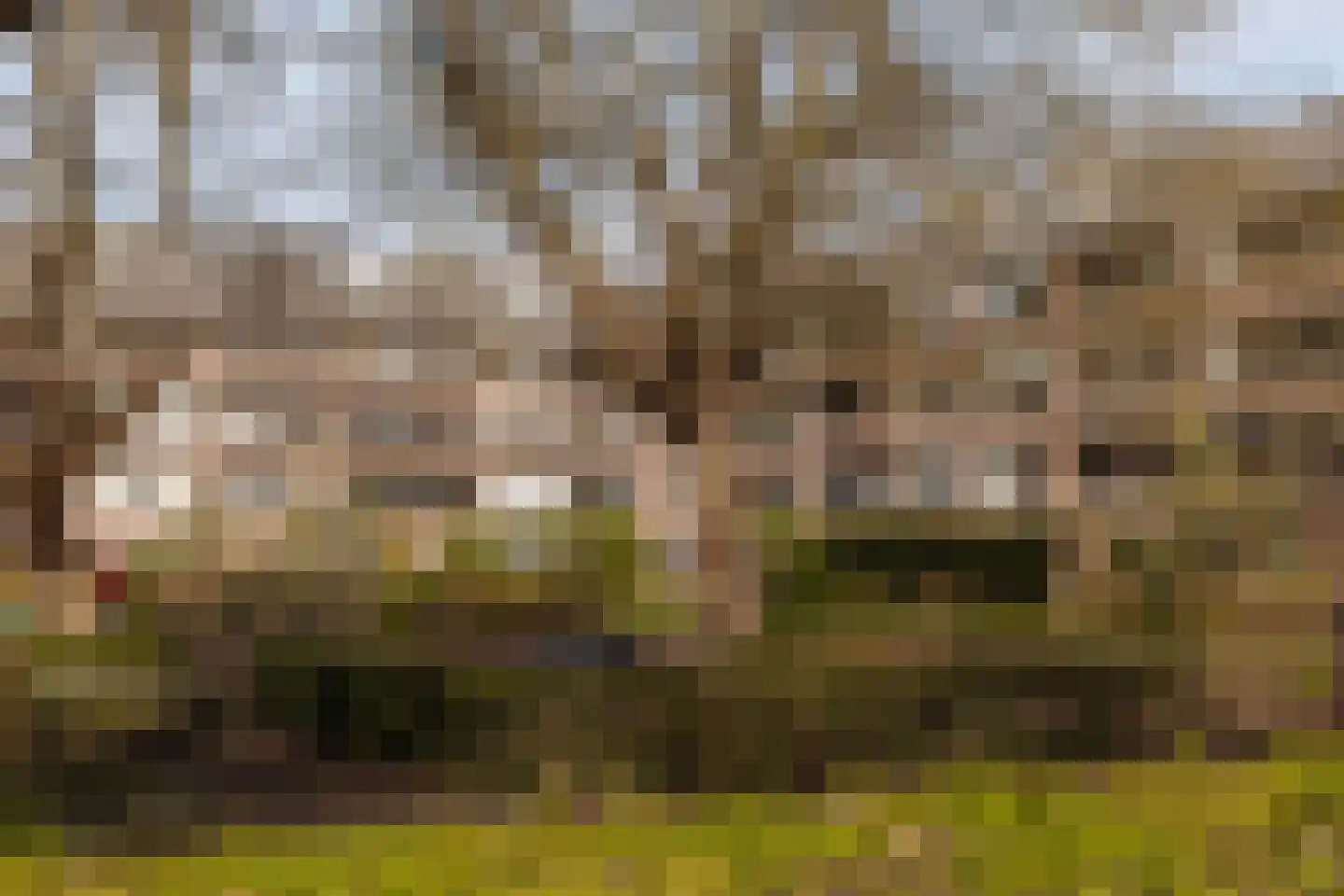 Rietnesse 3 3 Amsterdam thumbnail 27