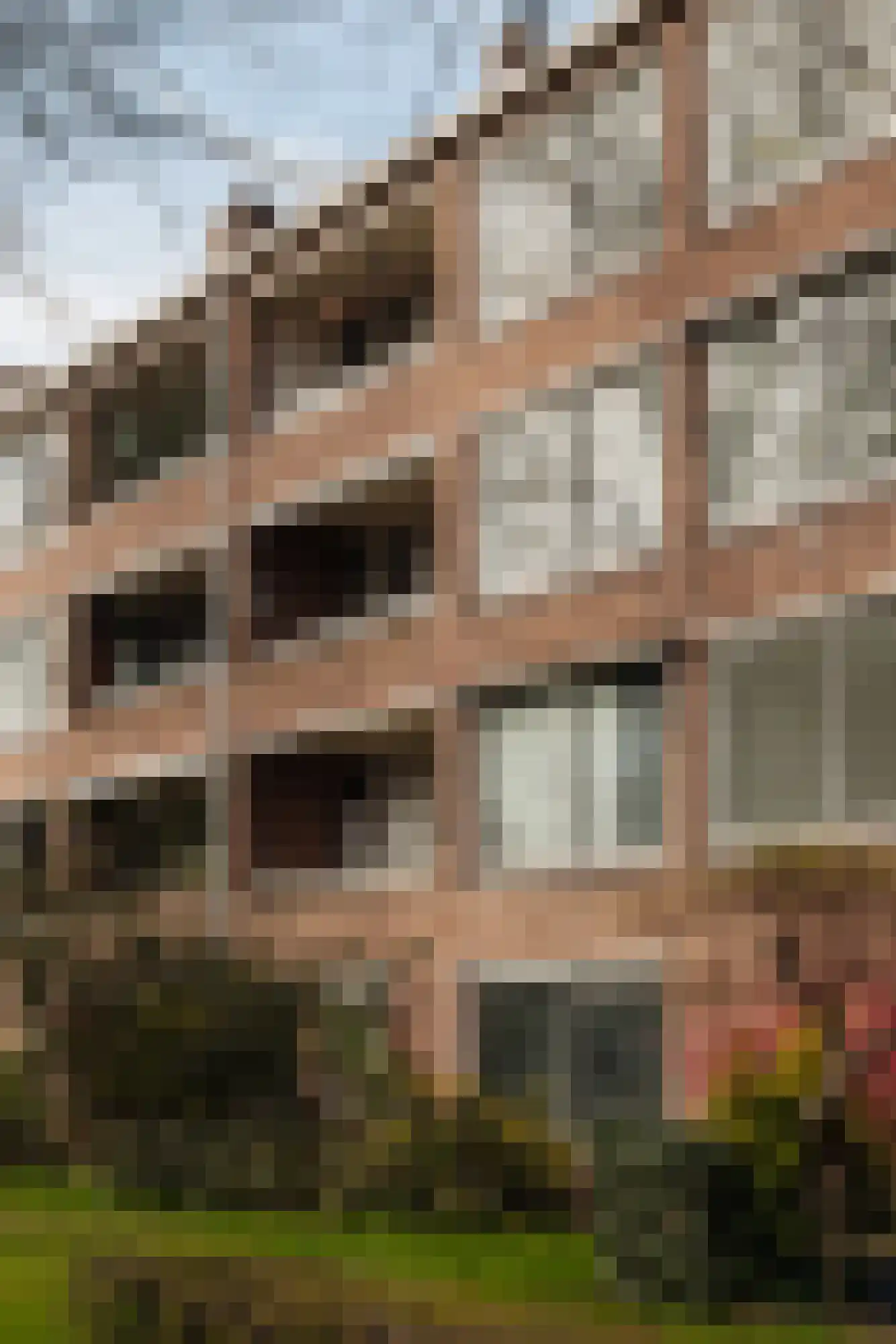 Rietnesse 3 3 Amsterdam thumbnail 28