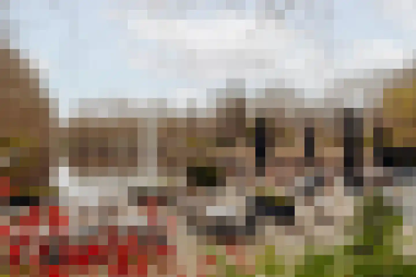 Rietnesse 3 3 Amsterdam thumbnail 29