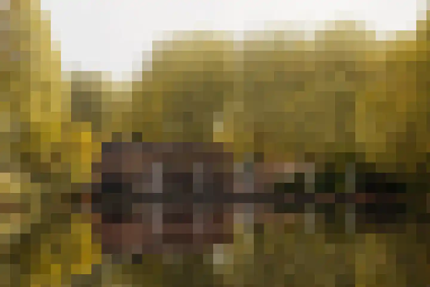 Rietnesse 3 3 Amsterdam thumbnail 31