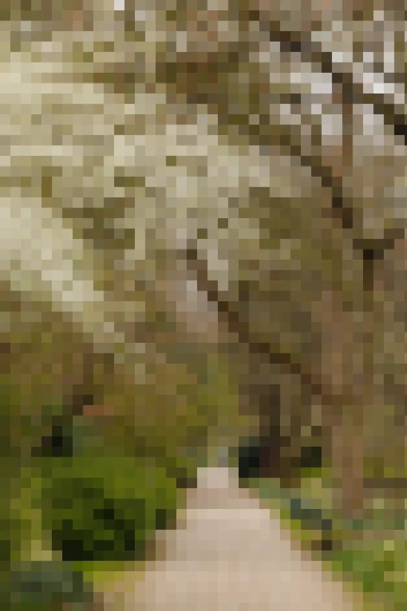 Rietnesse 3 3 Amsterdam thumbnail 32