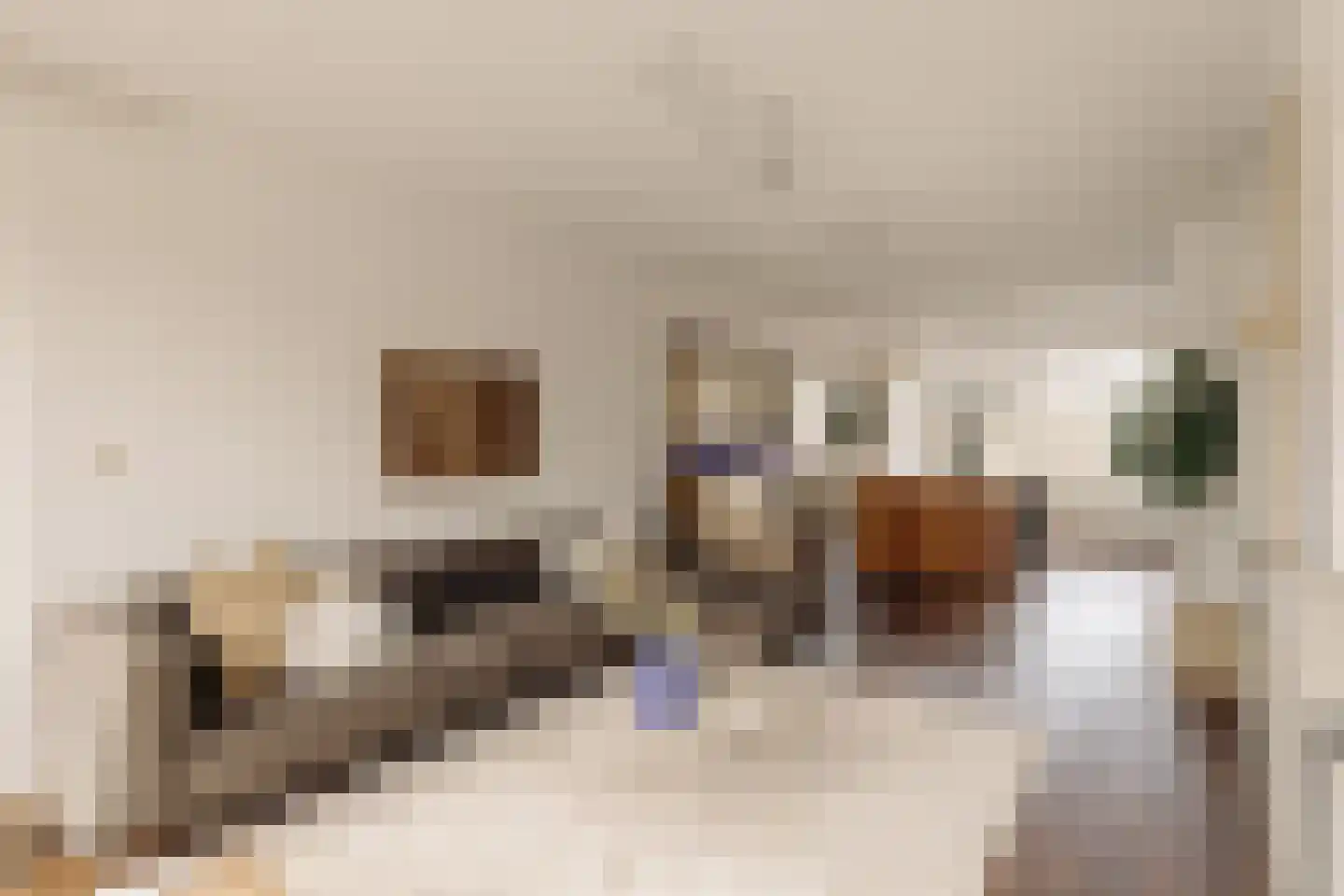 Rietnesse 3 3 Amsterdam thumbnail 7