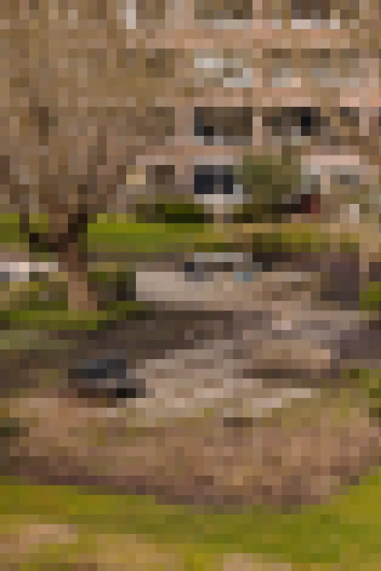 Rietnesse 3 3 Amsterdam thumbnail 8