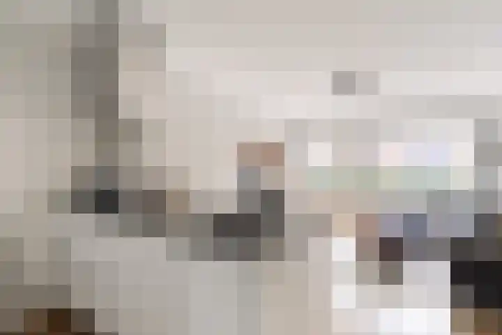 Rietnesse 5 H Amsterdam thumbnail 5