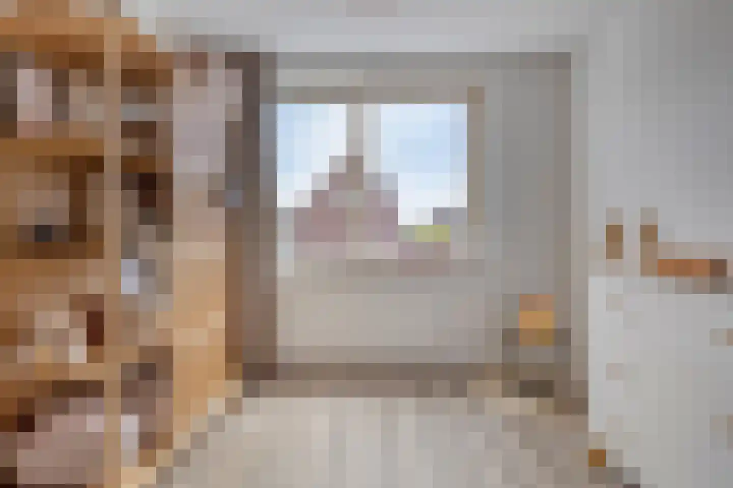 Rietoever 20 Roelofarendsveen thumbnail 15
