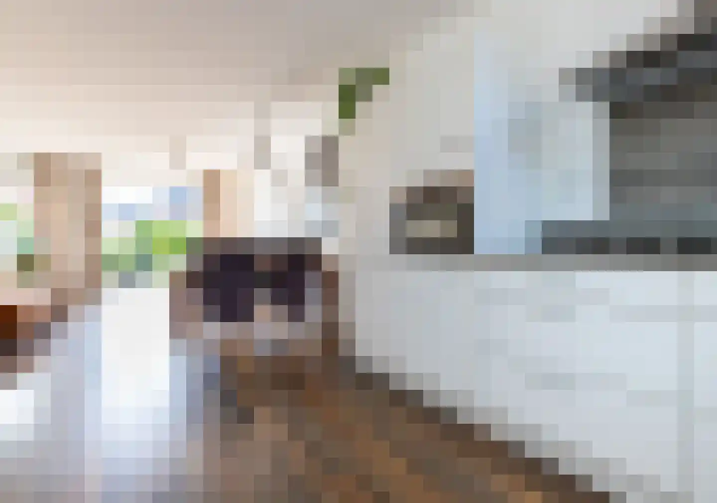 Rietoever 50 Roelofarendsveen thumbnail 17
