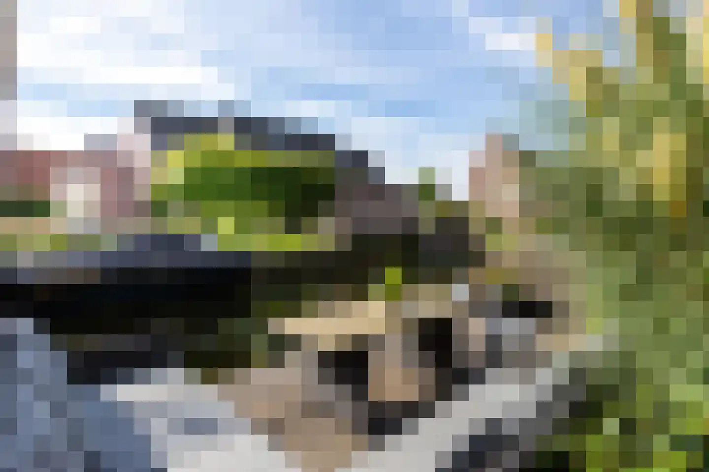 Rietoever 50 Roelofarendsveen thumbnail 23