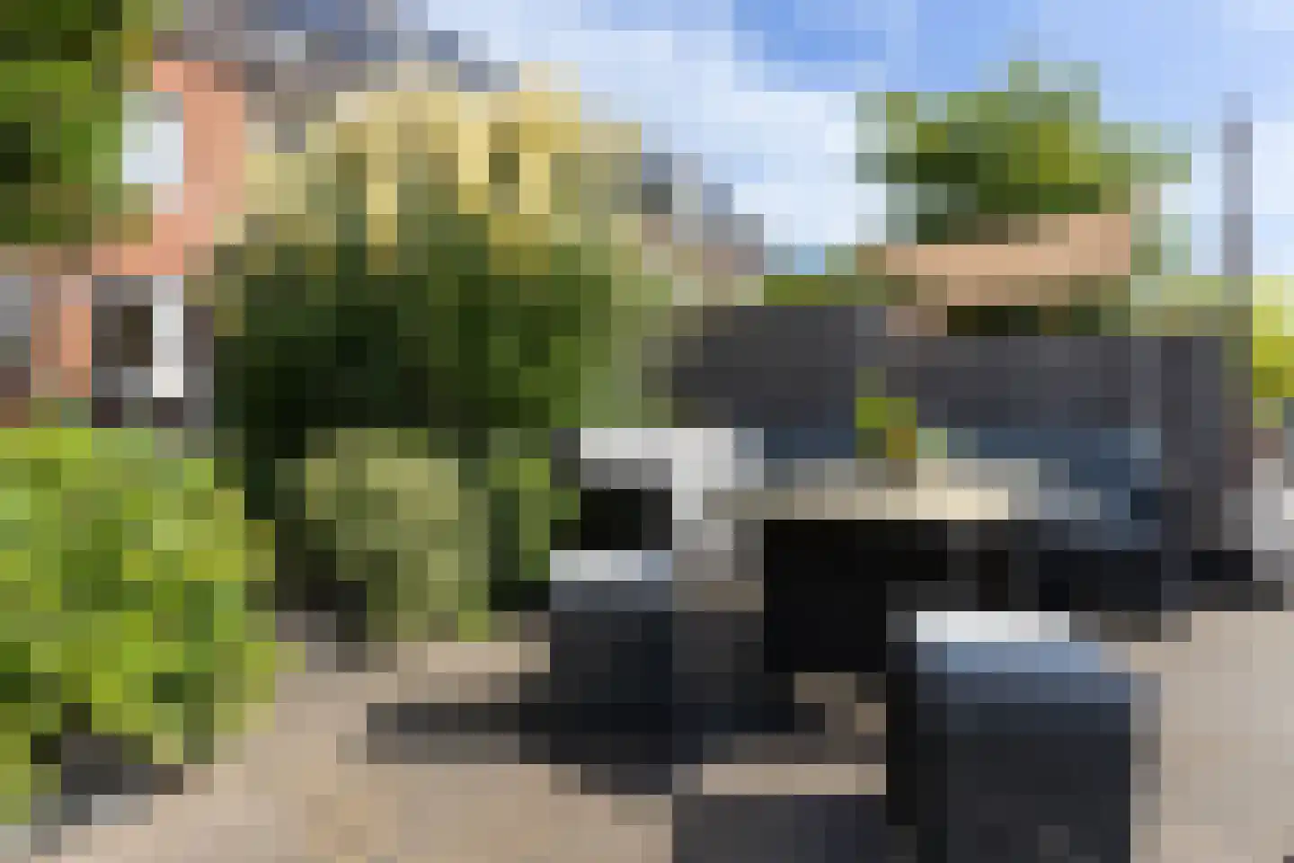 Rietoever 50 Roelofarendsveen thumbnail 26