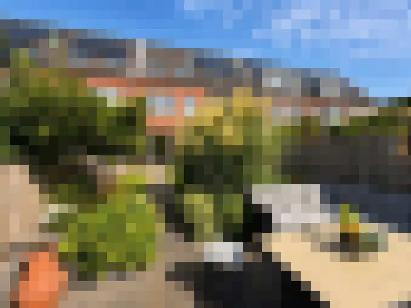 Rietoever 50 Roelofarendsveen thumbnail 27