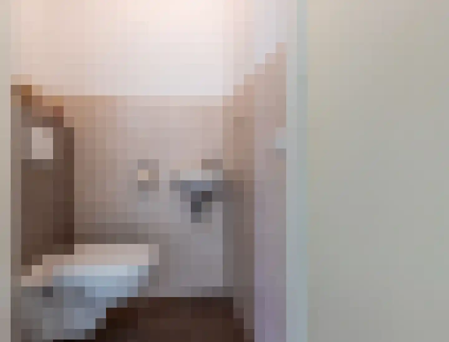 Rietoever 50 Roelofarendsveen thumbnail 29