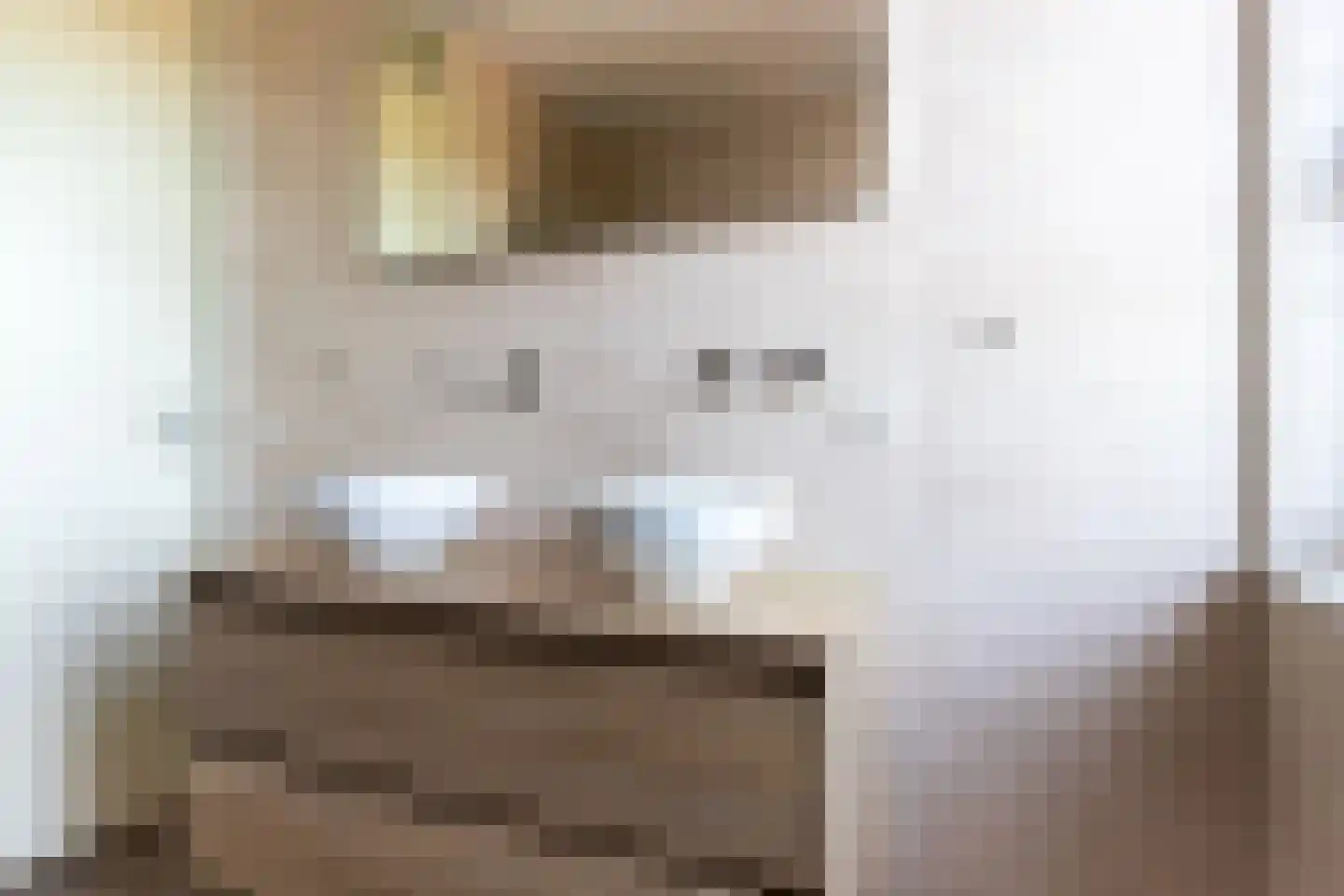 Rietoever 50 Roelofarendsveen thumbnail 35