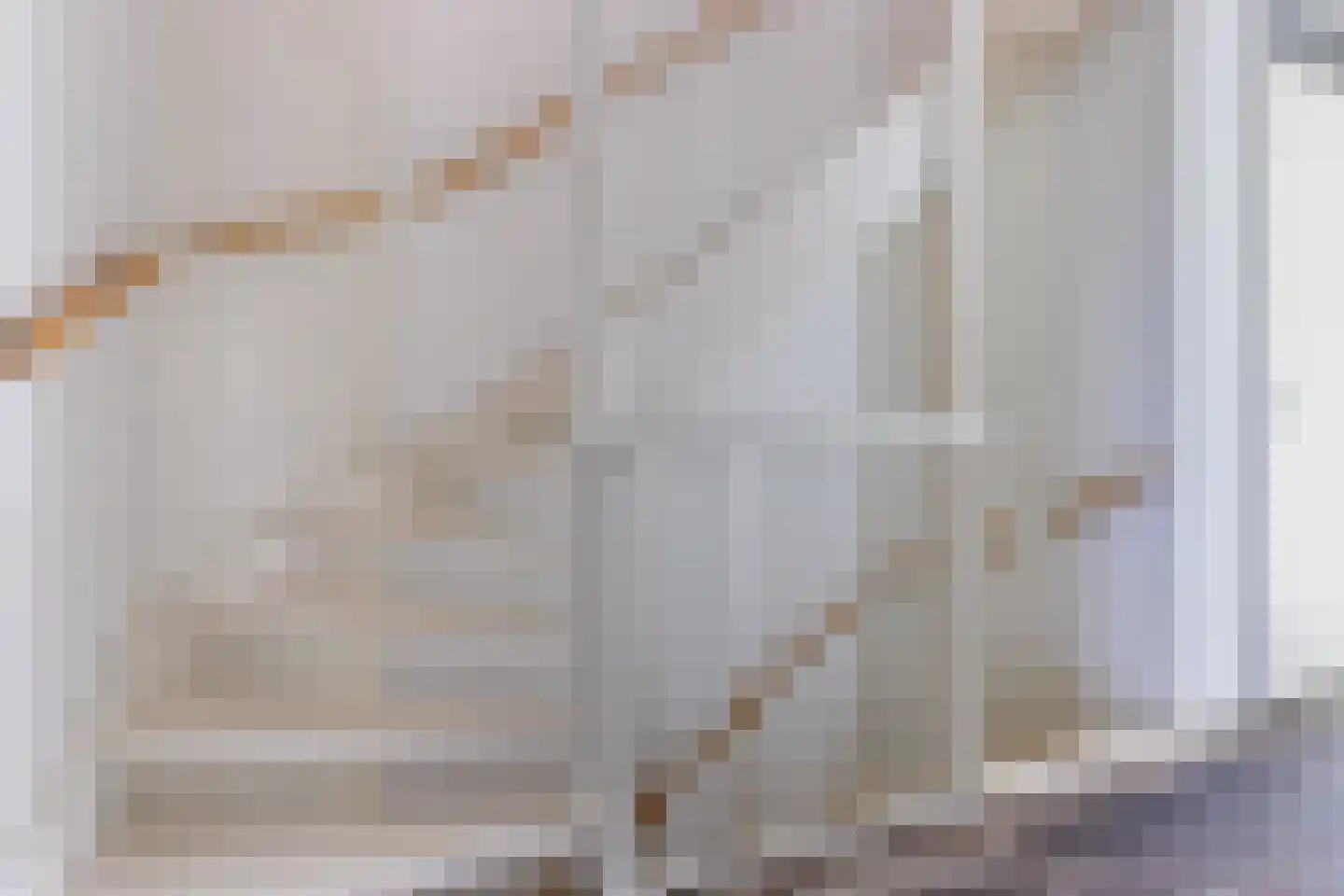 Rietoever 50 Roelofarendsveen thumbnail 37