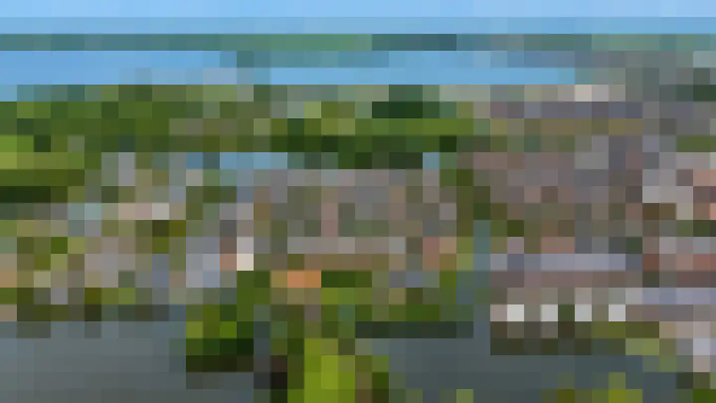 Rietoever 50 Roelofarendsveen thumbnail 4