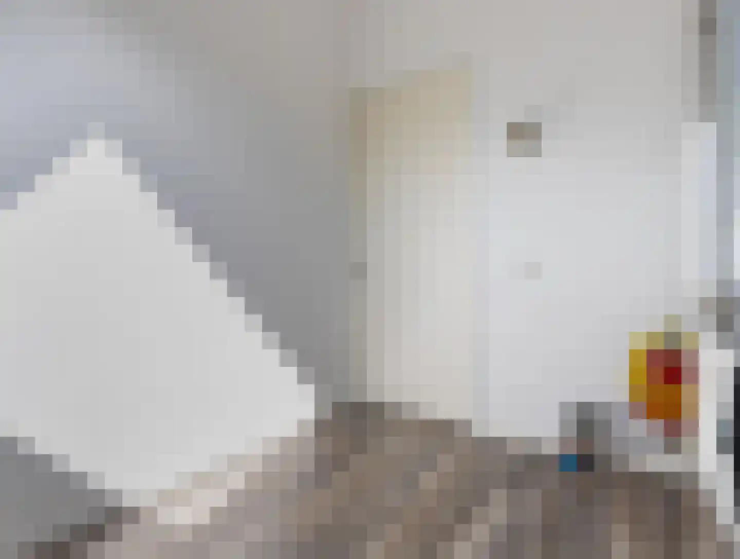 Rietoever 50 Roelofarendsveen thumbnail 41