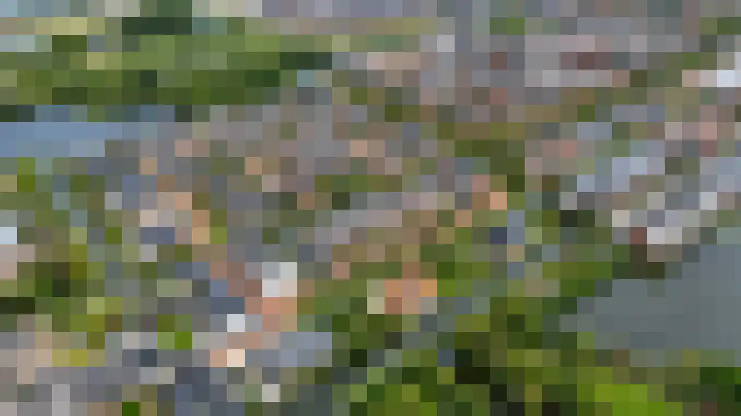 Rietoever 50 Roelofarendsveen thumbnail 43